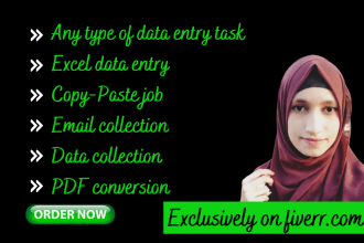 be professional data entry operator for data entry, copy paste job, typing job