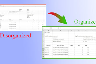 develop a custom software to organize excel files