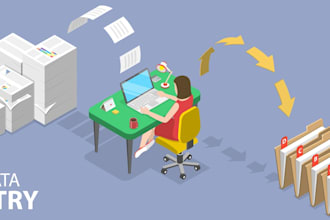 do data entry and data formating in excel