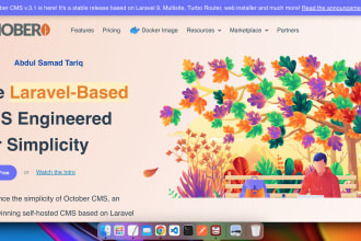create and improve the october cms website