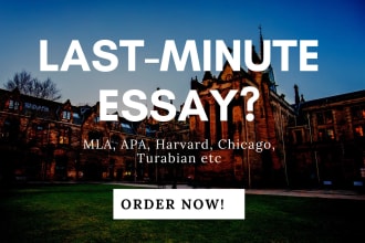 do essay writing, urgent essays in apa, mla, harvard formats in 4 hours