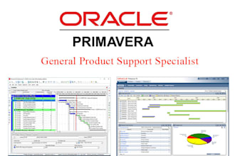 do primavera installation, upgrade and troubleshooting