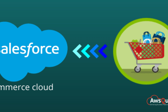 be your salesforce commerce cloud developer