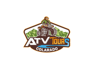 make a high quality mountain logo design with express delivery