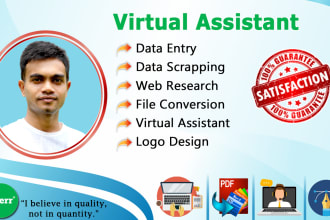 do consummate data entry, web research, file conversion