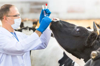 do animal human health,nutrition and medicine reasearch