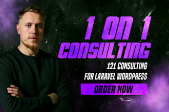 1on1 consulting for laravel and wordpress projects