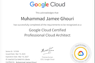 provide expert google cloud platform solutions