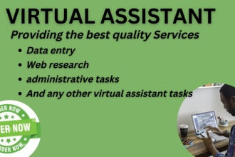 be your virtual assistant for web research, data entry and admin tasks