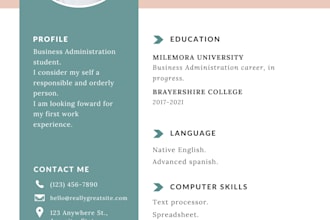 design a proffesional resume cv