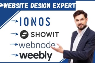 design showit, ionos and godday website