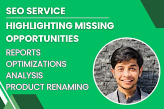 provide monthly seo service for your shopify store