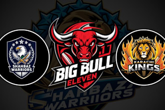 design a professional cricket logo