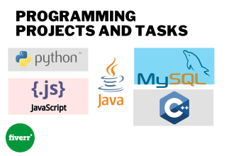 do python, java, oop, dsa, optimzation and debugging projects