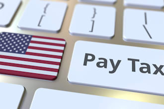 do all kind of income tax filings to irs USA