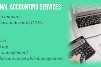 do accounting and bookkeeping services using accounting software