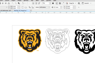 make vector files cdr,ai,dxf,eps,svg from any image for cnc