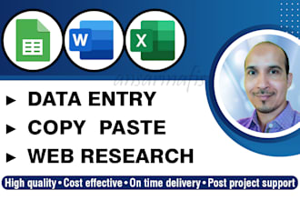 do excel data entry, web research and copy paste job