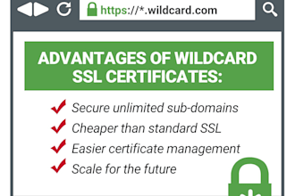 issue a wildcard SSL certificate for your domain