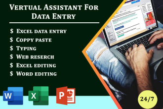 your virtual assistant data entry, google sheet and excel