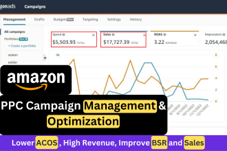 setup amazon ppc campaign,amazon ppc campaign management,amazon ppc optimization