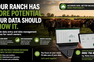 create professional livestock daily reports bilingual