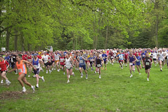 help you organize your sport event