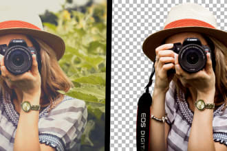 do image background removal super fast delivery white or transparent