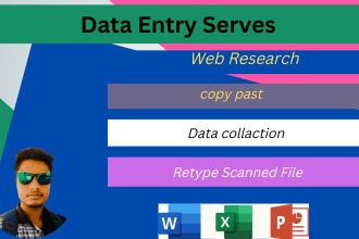 do data entry and web research job