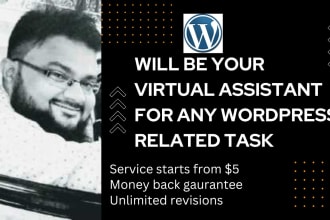 be your virtual assistant for any wordpress related task