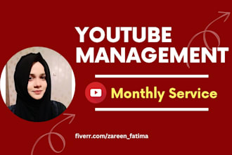 provide monthly youtube management service