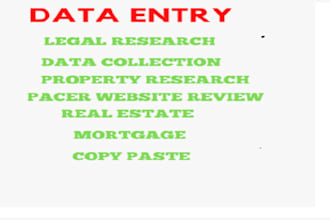 do data entry pacer website