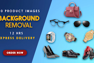 do a professional and fast background removal and cutouts
