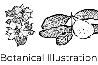 do professional vector illustrations animal and botanical line art