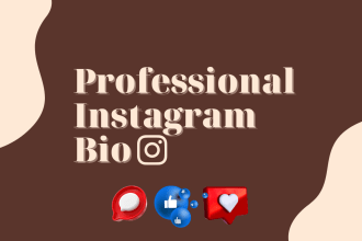 write you a killer instagram bio to attract followers