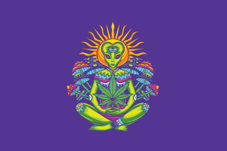 design eye catchy weed alien mascot logo in express delivery