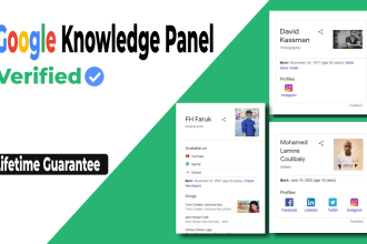 create a google knowledge panel or graph for any category