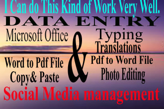 ms word, excel, typing, photo editing