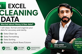 do excel data entry in low price, data cleaning, data entry