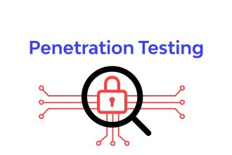 do penetration testing or vulnerability assessment