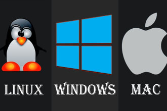 provide IT support services and system administration
