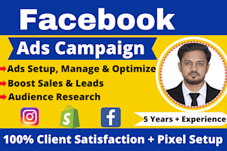 setup and manage facebook ads,instagram ads,fb advertising