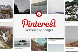 be your pinterest account manager and content creator
