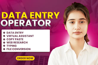 do data entry, data entry typing work job, copy paste and excel data entry