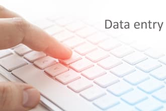 your virtual assistant for excel word data entry