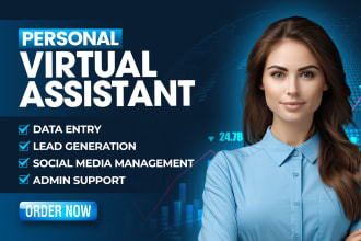 be your perfect virtual assistant for data entry and web research