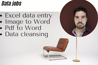 data typing, data entry and copy paste