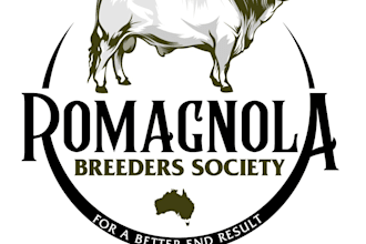 design a professional modern animal logo