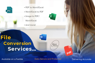 do professional file conversion services