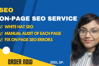 do complete onpage SEO optimization for your website